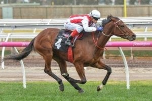 Anchor Bid dominant in Flemington win