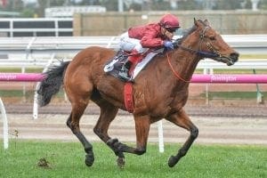 Consistent Portman wins at Flemington