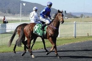 Salesman wins at Goulburn