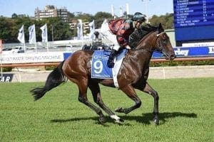 Summer Passage at Royal Randwick