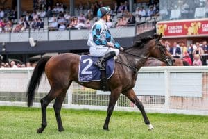 Arrowfield Stud acquires Flying Mascot