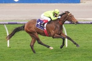 Berkeley Square justifies short price at Flemington