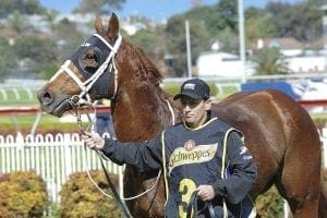 Devil Hawk special winner for Waller