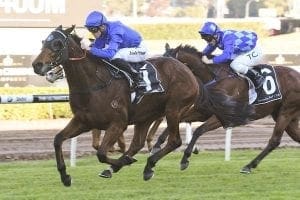 Allergic wins at Randwick