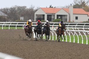 Synthetic track up and running at Awapuni