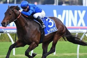 Anamoe wins Winx Stakes