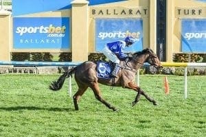 Blood And Sand jumps to Houlahan success