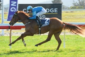 Crocetti impresses at Ruakaka