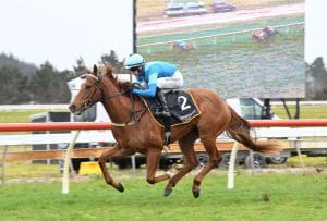 Crocetti dominates Ruakaka Group 3