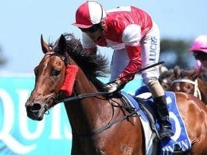 Endless Days set to atone at Doomben