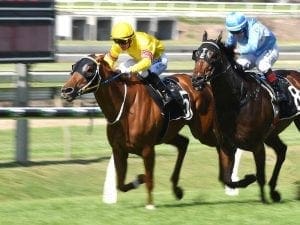 Light weight to help Volkoff at Doomben