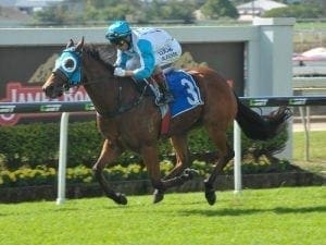 Brisbane sun suits veteran Straturbo