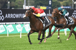 Empire Of Japan impresses in Breeders' Plate triumph