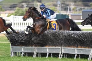 Flying Agent on song for Grand National