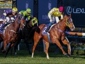 Malibu Style on target for Group 3 Aurie's Star