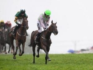 Sharjah wins Galway Hurdle for Mullins