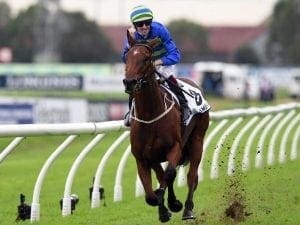 Decision looms on Jameka's racing future