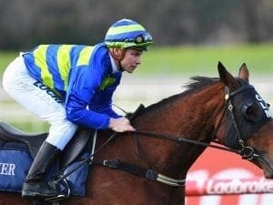 Multiple Group One winner Jameka retired