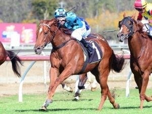 Ryan Maloney set for Brisbane debut