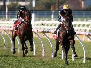 Brutal among McKenzie Stakes nominations