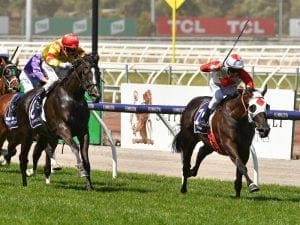 Mystic Journey wins trial at Devonport