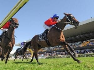 Invincible Gem after second Missile Stakes