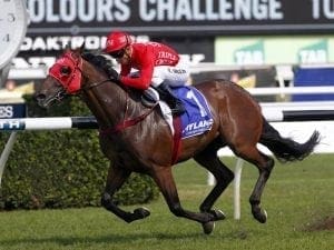 Redzel wins barrier trial at Rosehill