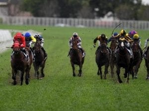 Redzel a pleasing second in trial