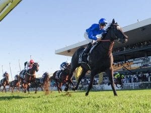 Avilius shines in Rosehill barrier trial