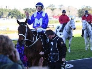 Winx shows no signs of a hard run