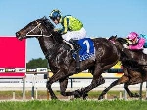 Maloney continues Queensland win streak