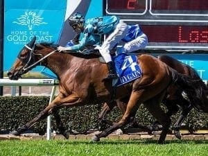 Plumb siblings in a first in Qld racing