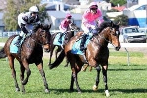 Highlad franks Victorian Derby form at Te Rapa