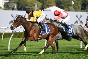 Hosier outstays rivals in Premier’s Cup