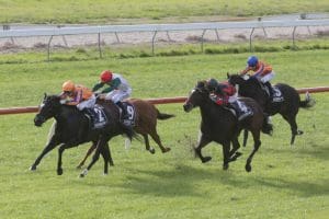 Imperatriz fires in Kerikeri Cup