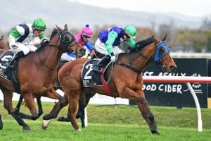 Henderson’s mare chasing Tarzino start