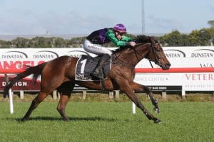 Kajino impressive in Te Rapa victory