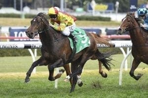 Clark rewarded for chasing Master Ash ride