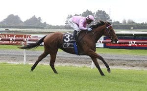 Tyler hoping his sprinter can regain his crown at Oamaru