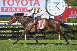 Electric Principessa dominates Randwick rivals