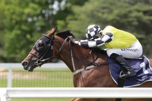 Karaka Millions meeting receives massive boost