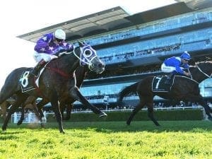 Winx claims Warwick Stakes in a thriller