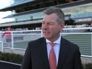 Vive Marie set for first Australian start