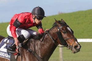 Pike hoping winning run continues at Ruakaka