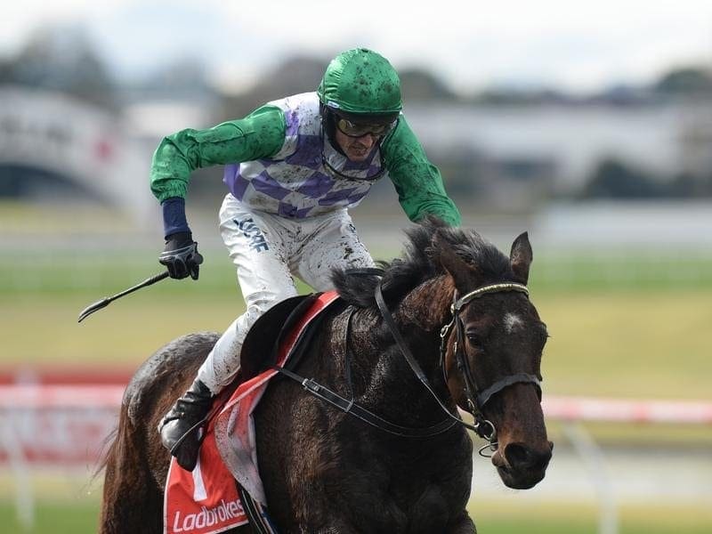 Jockey Richard Cully riding Wells