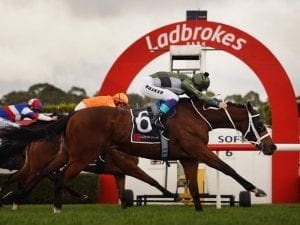 Sandown Lakeside racing tips - Wednesday, 19 August 2020