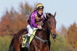 NZ racing wrap: Hastings return for undefeated Jessiegee