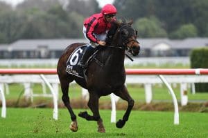 Seajetz hunting New Plymouth success