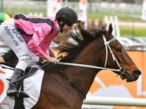 I Boogi gives Lane success at The Valley