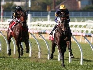 Brutal on target for Moonee Valley assault